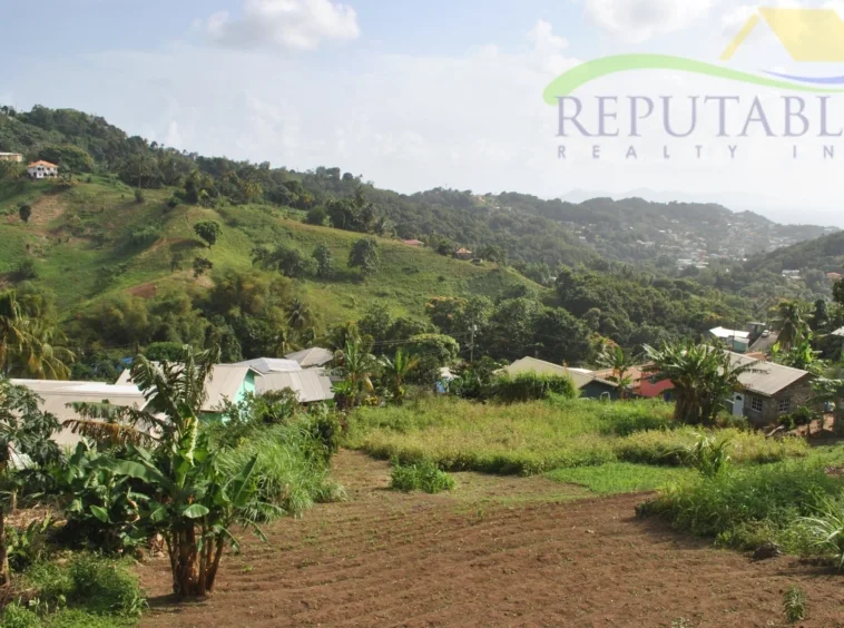 For Sale Land in Ashburton Village/ Belair