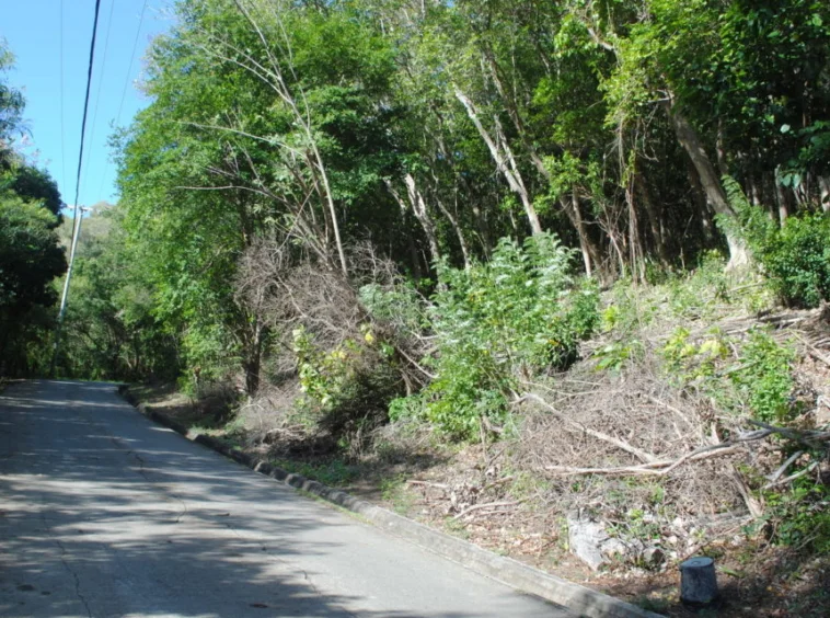 For Sale Land at Bequia – Spring
