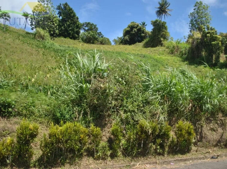 For Sale: Lot 2 – Land at Marriaqua