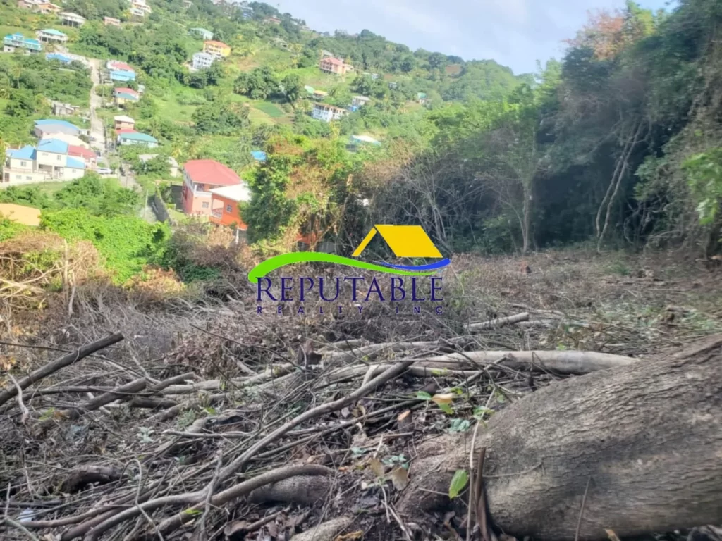 Land For Sale at Carapan